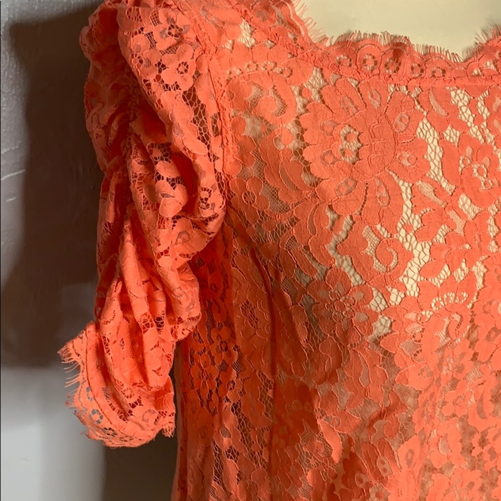 Joie Fanny Lace Top Orange Lace Blouse Sz S - Picture 5 of 8